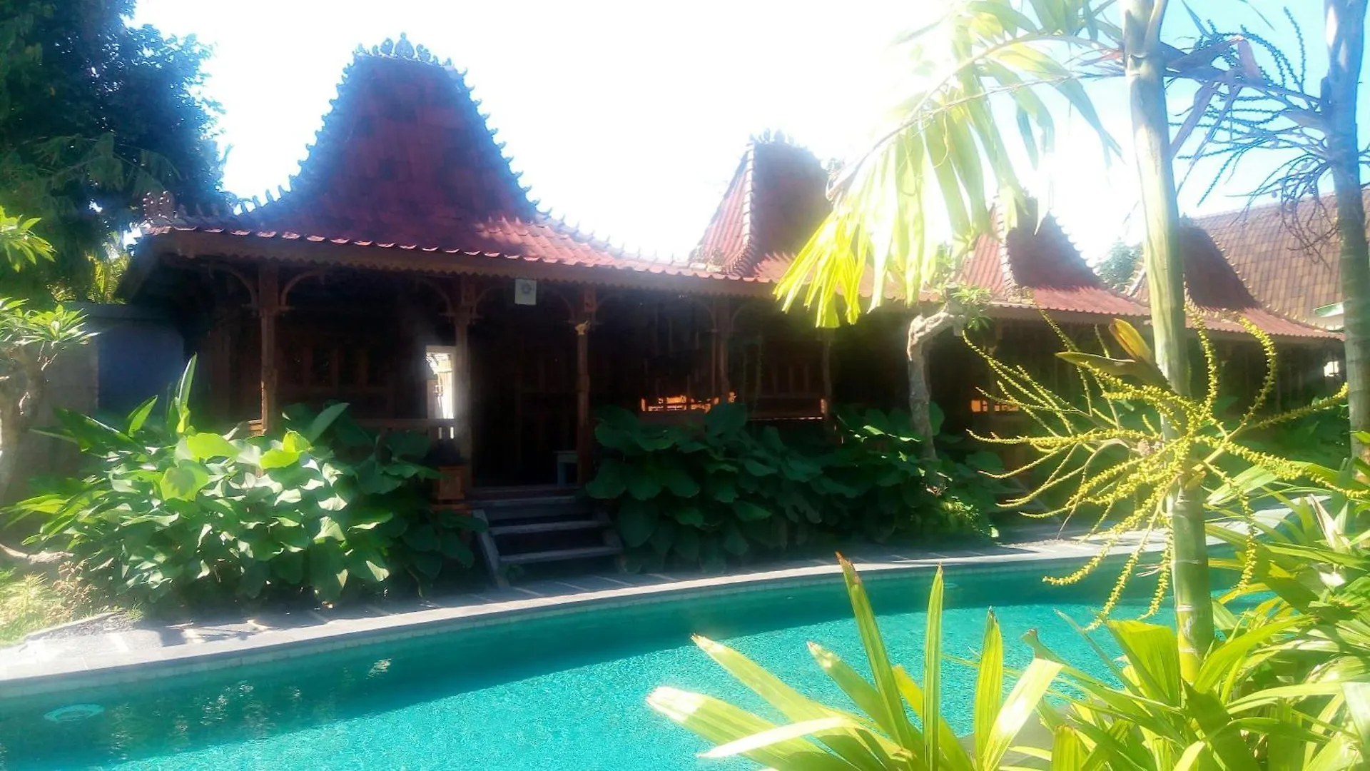 The Garden Villa Sanur Endonezya