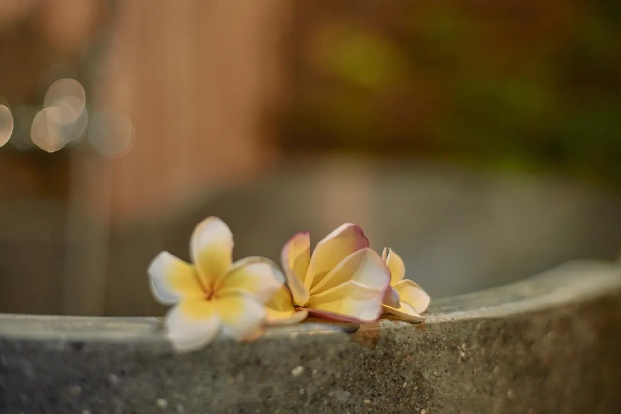 The Garden Villa Sanur Feriepark